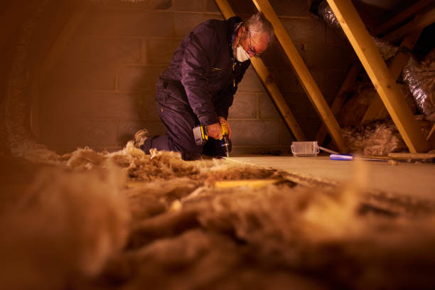 Best Insulation Installation Services in Tekamah, NE